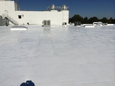 Membrane Roof